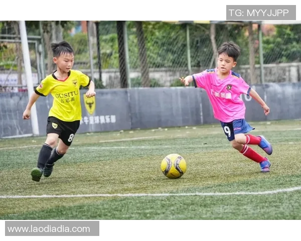 张芳独家解析足球技战术与心得体会助你提升球场表现