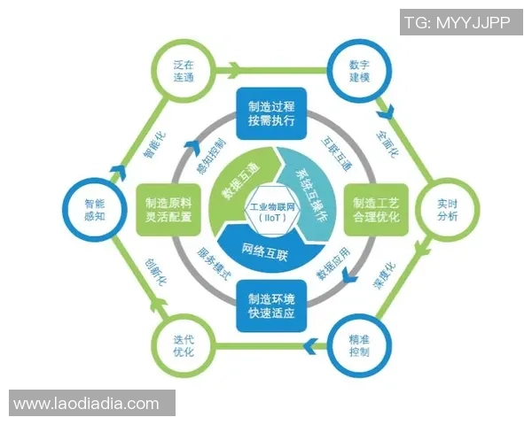 成都排球队防守革新之路探索与实践的深度剖析与展望