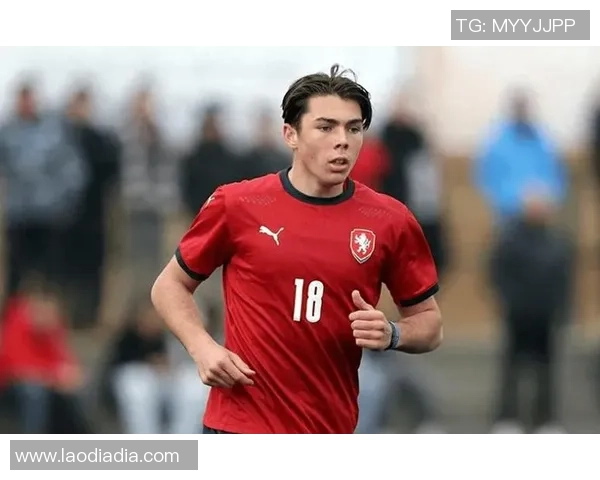 捷克足球明星盘点：那些在国际赛场上闪耀的传奇球员