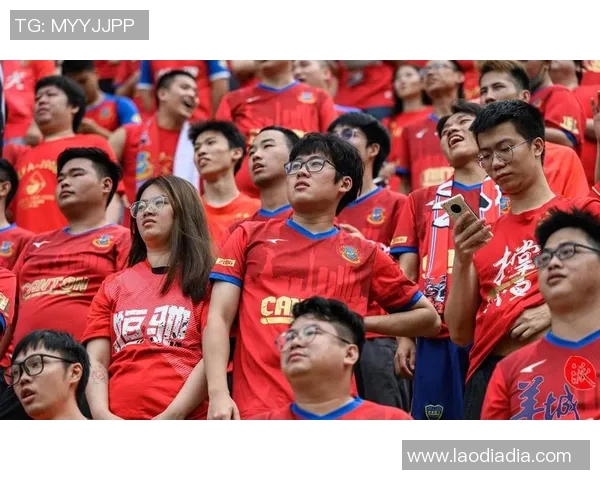 广州排球队总决赛特别报道：从传统强队到新生力量的转型之路