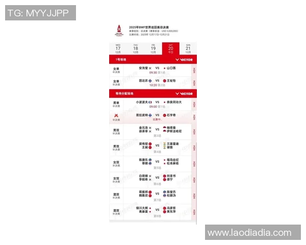 杭州羽毛球队在锦标赛中的速度表现分析与精彩回顾